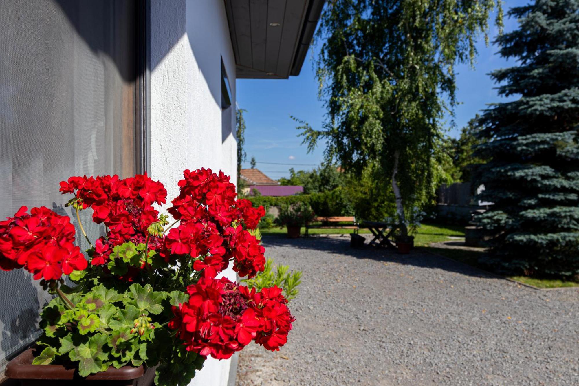 Ferienwohnung Kincso Vendeghaz Sárospatak Exterior foto